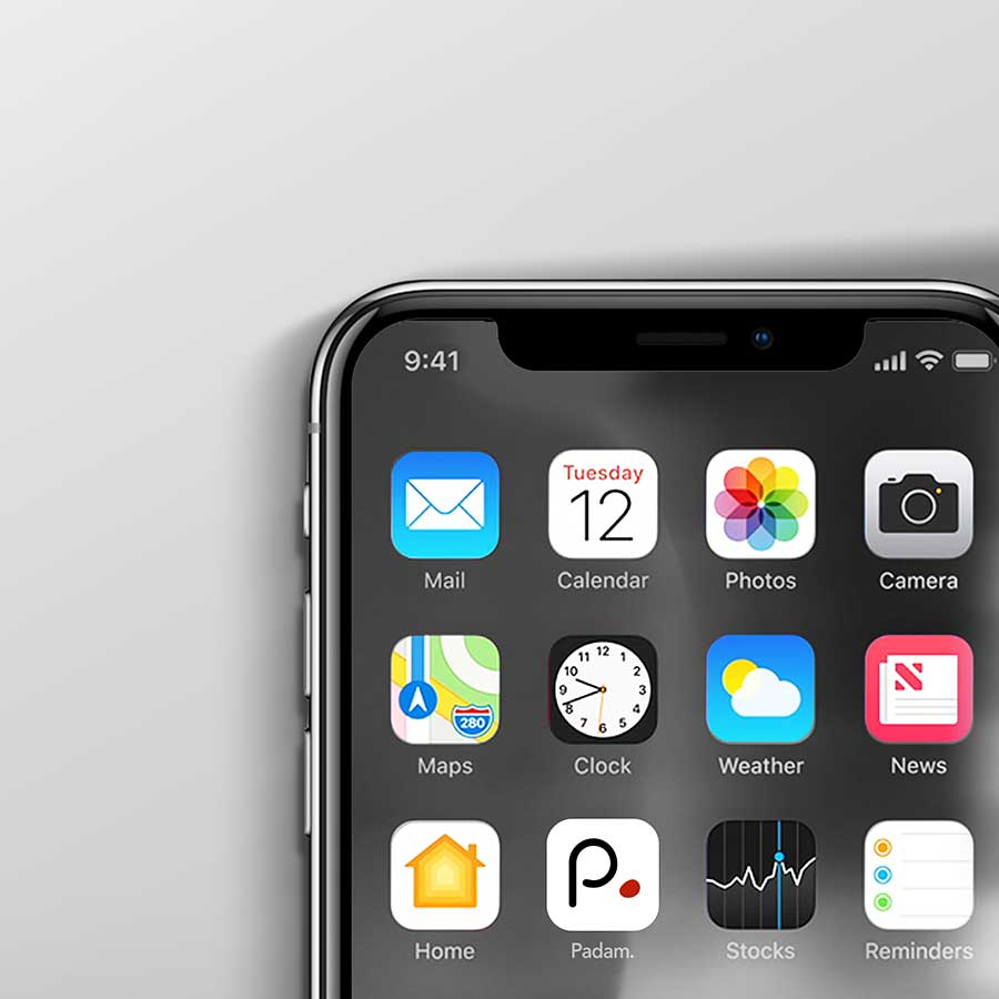 application-smartphone-padam