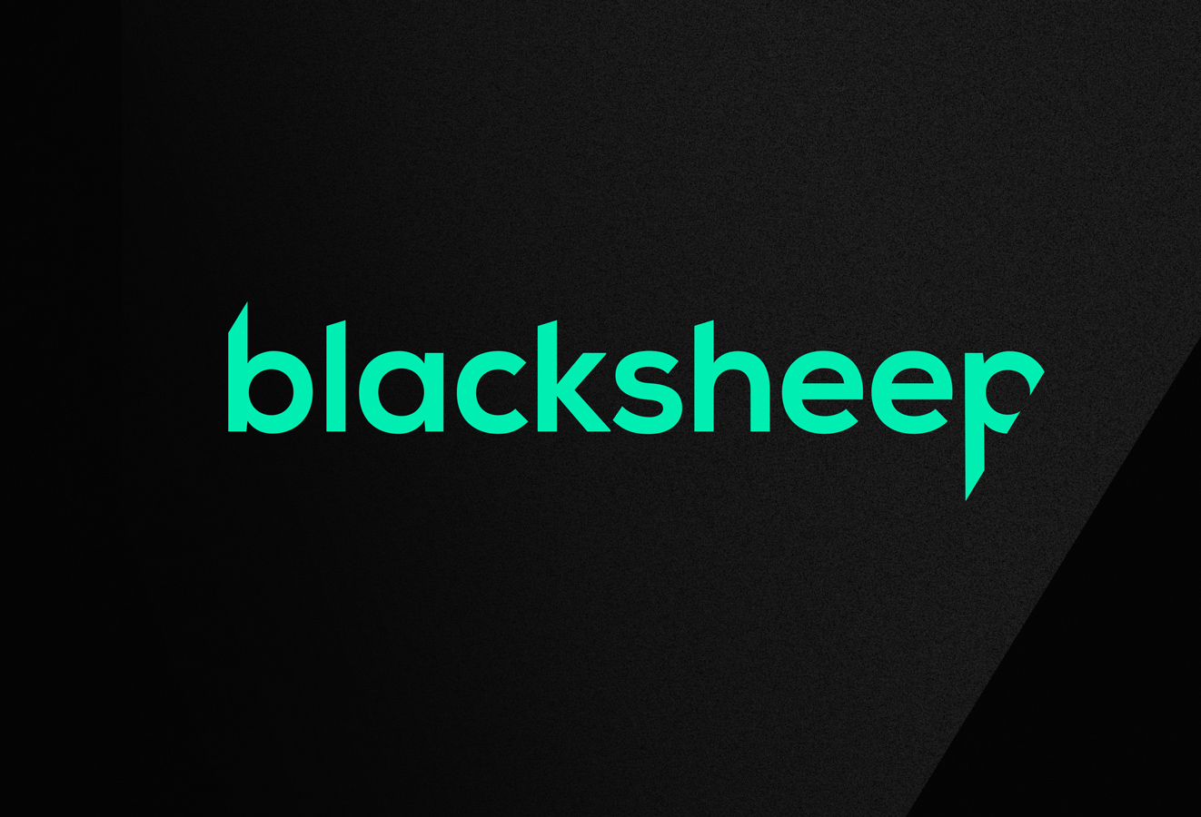 BLACKSHEEP-1322×900-01