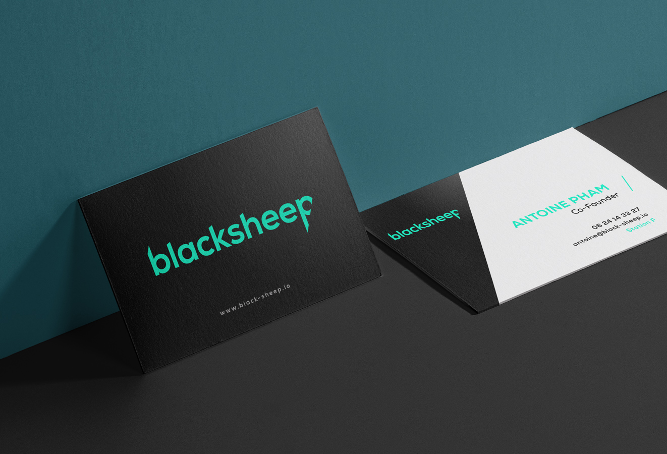 BLACKSHEEP-1322×900-02