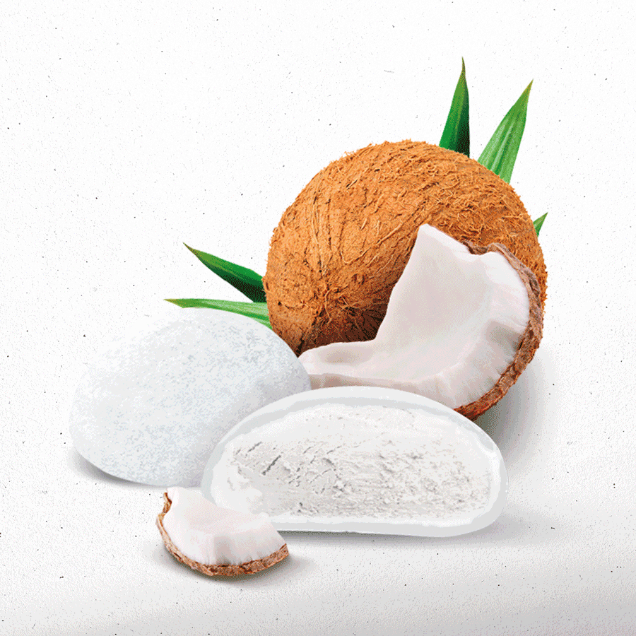 EXQUIS-MOCHI-900×900-01E