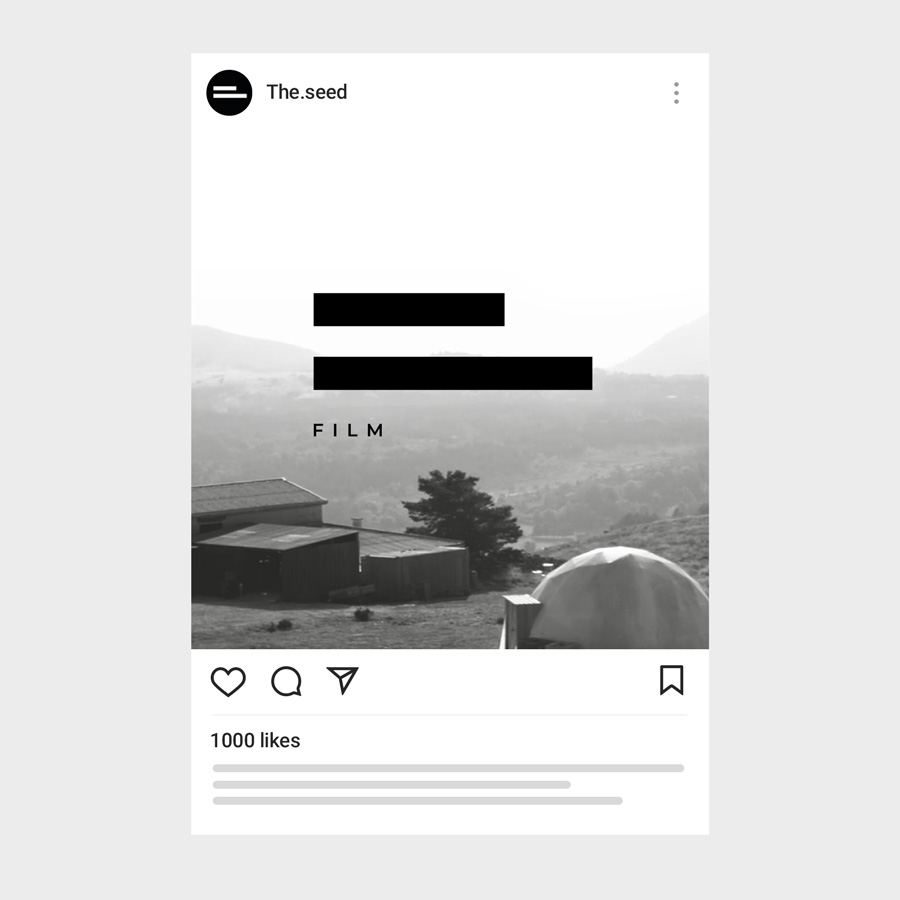 THESEED-900×900-02